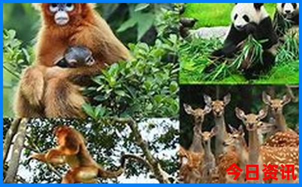 7月亲子游去哪比较好